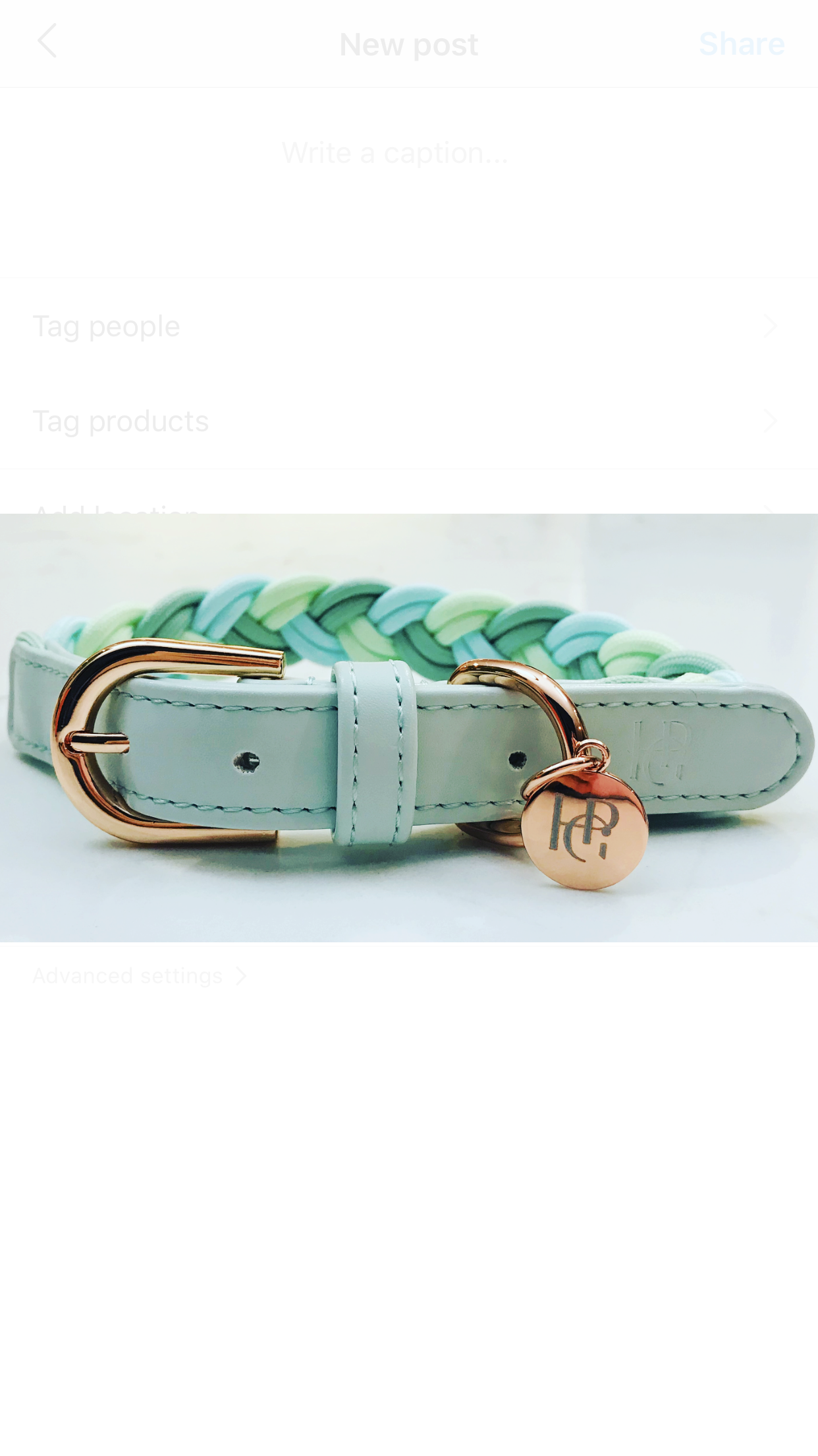 Plaited on sale dog collar