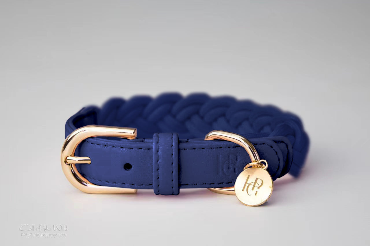 Indigo dog outlet collar